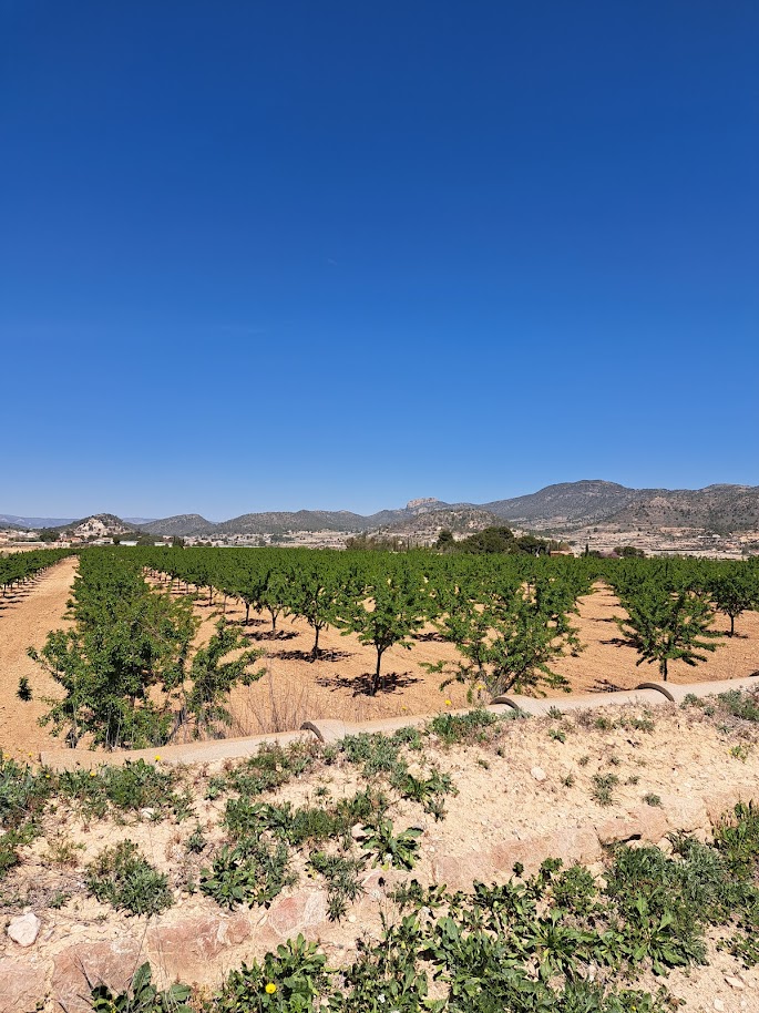 Landscape