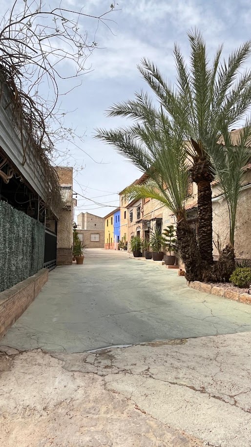 Village street